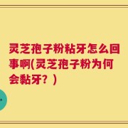 灵芝孢子粉粘牙怎么回事啊(灵芝孢子粉为何会黏牙？)