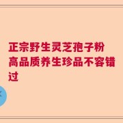 正宗野生灵芝孢子粉 高品质养生珍品不容错过