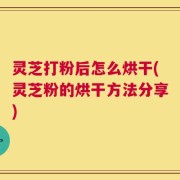 灵芝打粉后怎么烘干(灵芝粉的烘干方法分享)
