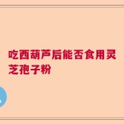 吃西葫芦后能否食用灵芝孢子粉