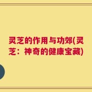 灵芝的作用与功郊(灵芝：神奇的健康宝藏)
