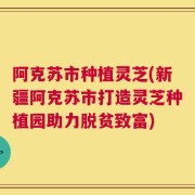 阿克苏市种植灵芝(新疆阿克苏市打造灵芝种植园助力脱贫致富)