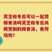 灵芝和冬瓜可以一起煲排骨汤吗灵芝和冬瓜共同煲制的排骨汤，有何功效？