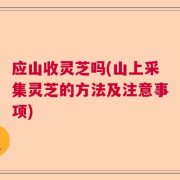 应山收灵芝吗(山上采集灵芝的方法及注意事项)