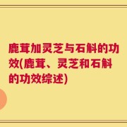 鹿茸加灵芝与石斛的功效(鹿茸、灵芝和石斛的功效综述)