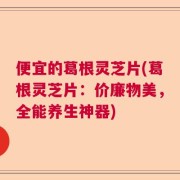 便宜的葛根灵芝片(葛根灵芝片：价廉物美，全能养生神器)
