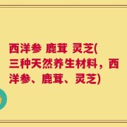 西洋参 鹿茸 灵芝(三种天然养生材料，西洋参、鹿茸、灵芝)