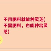 不用肥料就能种灵芝(不需肥料，也能种出灵芝)