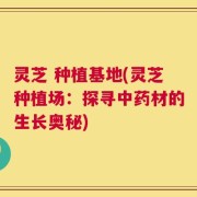 灵芝 种植基地(灵芝种植场：探寻中药材的生长奥秘)