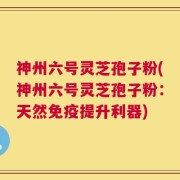 神州六号灵芝孢子粉(神州六号灵芝孢子粉：天然免疫提升利器)