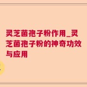 灵芝菌孢子粉作用_灵芝菌孢子粉的神奇功效与应用