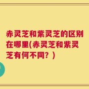 赤灵芝和紫灵芝的区别在哪里(赤灵芝和紫灵芝有何不同？)
