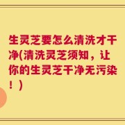 生灵芝要怎么清洗才干净(清洗灵芝须知，让你的生灵芝干净无污染！)