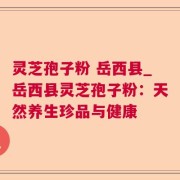 灵芝孢子粉 岳西县_岳西县灵芝孢子粉：天然养生珍品与健康