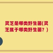 灵芝是哪类野生菌(灵芝属于哪类野生菌？)