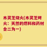 木灵芝烧火(木灵芝烤火：天然的燃料和药材合二为一)
