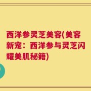 西洋参灵芝美容(美容新宠：西洋参与灵芝闪耀美肌秘籍)