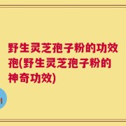 野生灵芝孢子粉的功效孢(野生灵芝孢子粉的神奇功效)