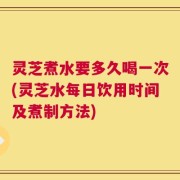 灵芝煮水要多久喝一次(灵芝水每日饮用时间及煮制方法)