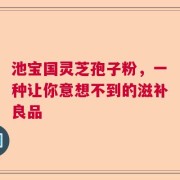 池宝国灵芝孢子粉，一种让你意想不到的滋补良品