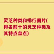 灵芝种类和排行图片(排名前十的灵芝种类及其特点盘点)