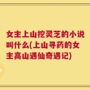 女主上山挖灵芝的小说叫什么(上山寻药的女主高山遇仙奇遇记)