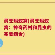 灵芝蚂蚁窝(灵芝蚂蚁窝：神奇药材和昆虫的完美结合)
