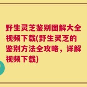 野生灵芝鉴别图解大全视频下载(野生灵芝的鉴别方法全攻略，详解视频下载)