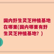 国内野生灵芝种植基地在哪里(国内哪里有野生灵芝种植基地？)