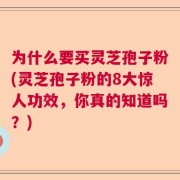 为什么要买灵芝孢子粉(灵芝孢子粉的8大惊人功效，你真的知道吗？)