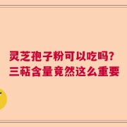 灵芝孢子粉可以吃吗？三萜含量竟然这么重要