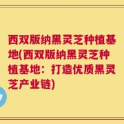 西双版纳黑灵芝种植基地(西双版纳黑灵芝种植基地：打造优质黑灵芝产业链)