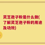 灵芝孢子粉是什么做(了解灵芝孢子粉的用途及功效)