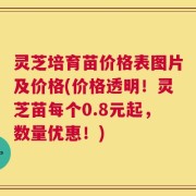灵芝培育苗价格表图片及价格(价格透明！灵芝苗每个0.8元起，数量优惠！)