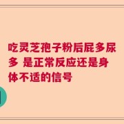 吃灵芝孢子粉后屁多尿多 是正常反应还是身体不适的信号