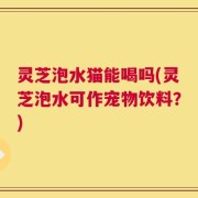 灵芝泡水猫能喝吗(灵芝泡水可作宠物饮料？)