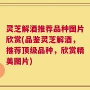 灵芝解酒推荐品种图片欣赏(品鉴灵芝解酒，推荐顶级品种，欣赏精美图片)