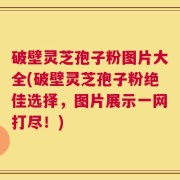 破壁灵芝孢子粉图片大全(破壁灵芝孢子粉绝佳选择，图片展示一网打尽！)