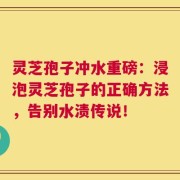 灵芝孢子冲水重磅：浸泡灵芝孢子的正确方法，告别水渍传说！
