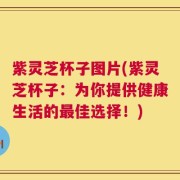 紫灵芝杯子图片(紫灵芝杯子：为你提供健康生活的最佳选择！)
