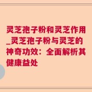 灵芝孢子粉和灵芝作用_灵芝孢子粉与灵芝的神奇功效：全面解析其健康益处