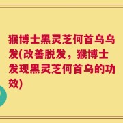 猴博士黑灵芝何首乌乌发(改善脱发，猴博士发现黑灵芝何首乌的功效)