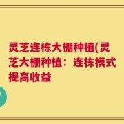 灵芝连栋大棚种植(灵芝大棚种植：连栋模式提高收益
