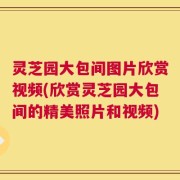 灵芝园大包间图片欣赏视频(欣赏灵芝园大包间的精美照片和视频)