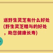 送野生灵芝有什么好处(野生灵芝赠与的好处，助您健康长寿)
