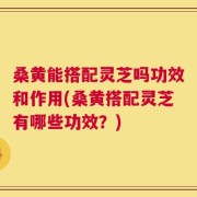 桑黄能搭配灵芝吗功效和作用(桑黄搭配灵芝有哪些功效？)