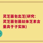 灵芝菌包出芝(研究：灵芝菌包菌丝体芝素含量高于子实体)