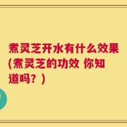煮灵芝开水有什么效果(煮灵芝的功效 你知道吗？)