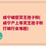 咸宁破壁灵芝孢子粉(咸宁产上等灵芝孢子粉打破行业难题)