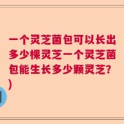 一个灵芝菌包可以长出多少棵灵芝一个灵芝菌包能生长多少颗灵芝？)